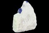Large, Lazurite Crystal in Marble Matrix - Afghanistan #111791-1